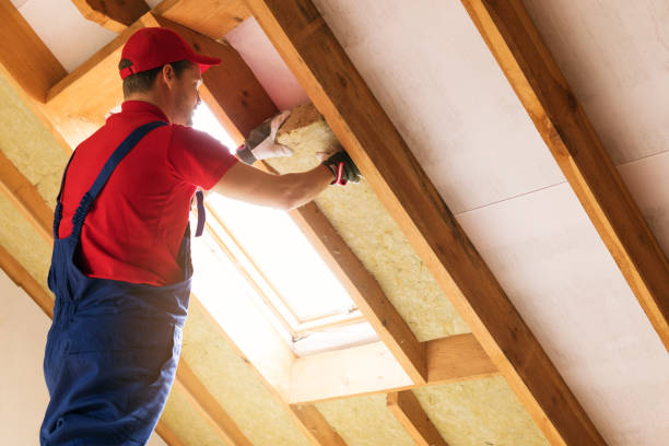 Professional Insulation Installation & Removal in Flora, IL